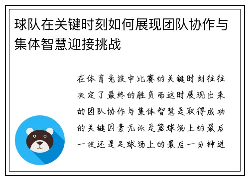 球队在关键时刻如何展现团队协作与集体智慧迎接挑战